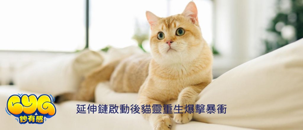貓靈重生